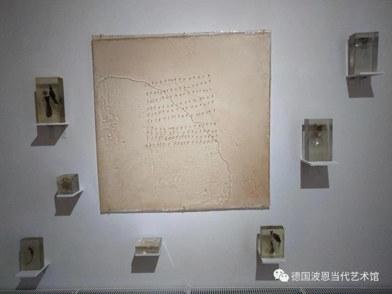 李珂，萌芽，树脂，装置 ，2018,共振-中国青年旅德艺术家在德国波恩当代艺术馆展出,中国青年旅德艺术家,波恩,艺术馆,任戎,青年,装置,迪特,教授,张强,荣特