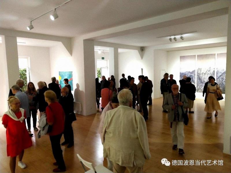 德国波恩当代艺术馆展览开幕现场,共振-中国青年旅德艺术家在德国波恩当代艺术馆展出,中国青年旅德艺术家,波恩,艺术馆,任戎,青年,装置,迪特,教授,张强,荣特