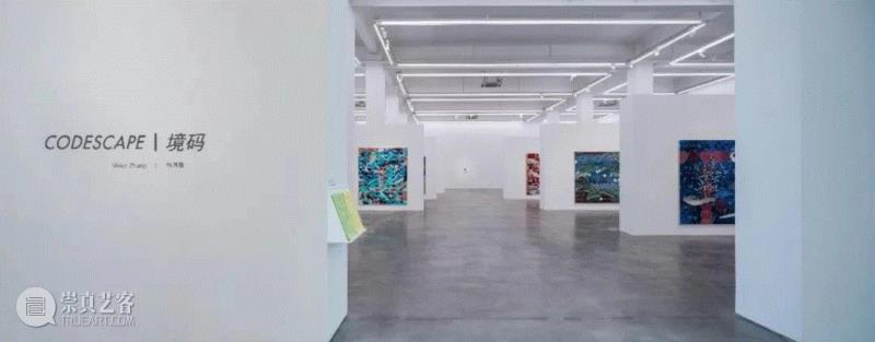 【长征空间正在展出】“张月薇：境码”,张月薇,长征空间,现场图,视频,互联网,美学,符号,绘画,科技,法则