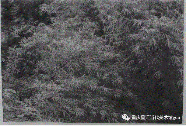 【GCA展览预告】《我们在此相遇——明希豪森循环与中?》艺术家推介 第III期