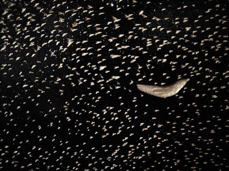 《天一生水》局部 / 976*366cm / 木板油彩 / 2010,“天一生水”真是算命玄学？,玄学,杨宏伟,木屑,河图,燕西台,天一生水,木刻,木版,木板,油彩