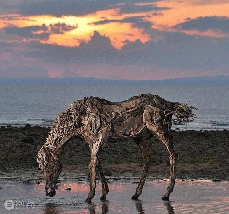 雕塑丨朽木可雕：漂流木的新生命,雕塑丨朽木可雕,漂流木,新生命,浮木,James,雕塑,朽木,木料,骏马,动物们