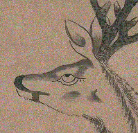 八大山人 | 給世界一個白眼又如何。,八大山人,朱耷,异类,画中,阮籍,耳光,诗人,明末,清初,皇族