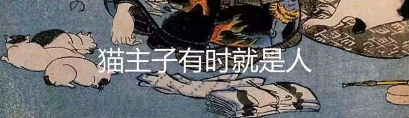 有关猫咪咕噜声的最新研究,咕噜声,猫咪,咕噜,图源,猫猫,骨骼,叫声,德贝维尔,韦茨曼,铲屎