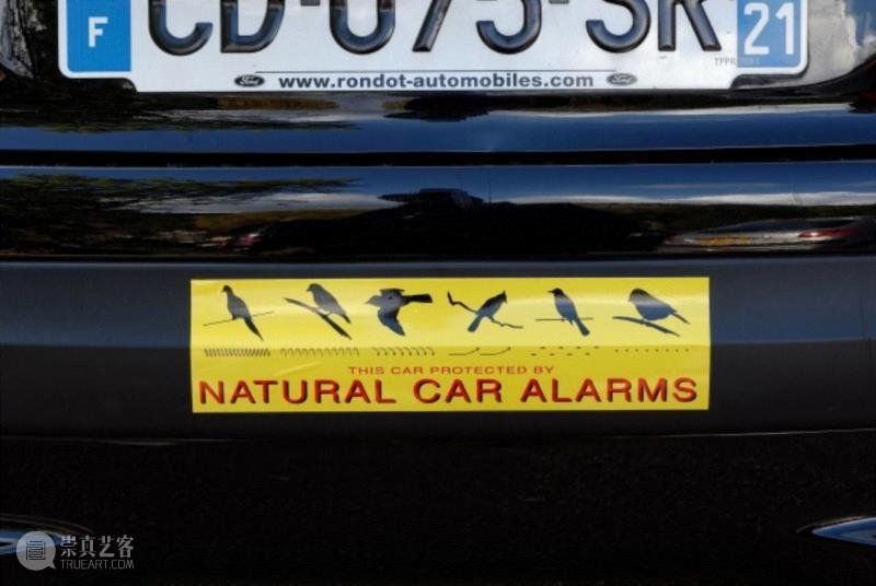 Nina Katchadourian,Natural Car Alarms, 2002, sound