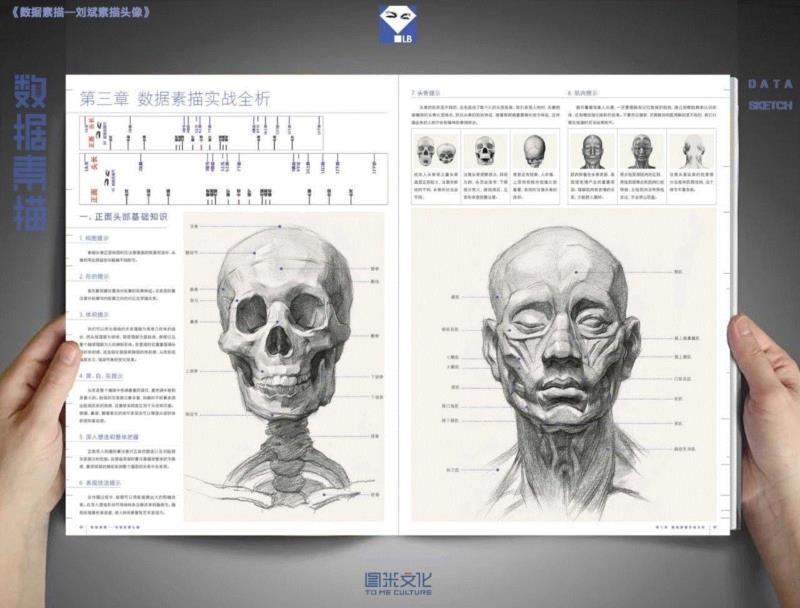 刘斌《数据素描》——教你如何3天快速提高20分！,刘斌,数据素描,素描,头像,小志,美术,商城,特价,粉丝,福利