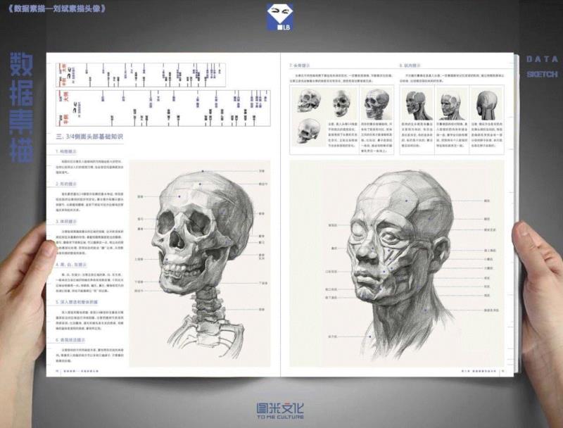 刘斌《数据素描》——教你如何3天快速提高20分！,刘斌,数据素描,素描,头像,小志,美术,商城,特价,粉丝,福利