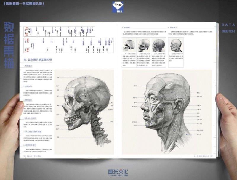 刘斌《数据素描》——教你如何3天快速提高20分！,刘斌,数据素描,素描,头像,小志,美术,商城,特价,粉丝,福利