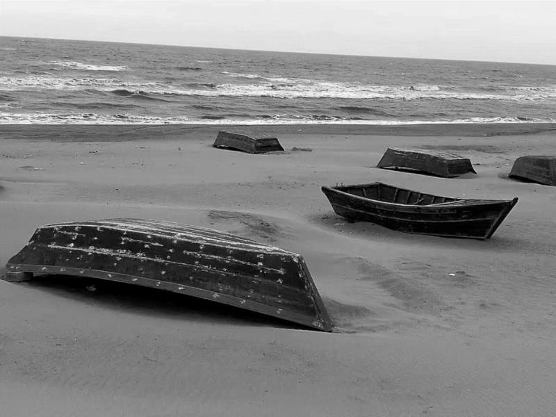 彼岸,成蹊｜偶像,偶像,成蹊,牧羊人,捐躯,波澜,二人转,法网,集中制,底牌,路线