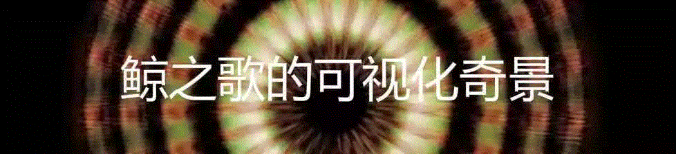 有种鲸虱，真的比我们还孤独,鲸虱,身上,海豚,虱子,鲸鱼,宿主,图源,体型,周围,纳塔利娅