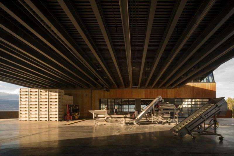 平面图,加拿大山坡酒庄，以流线坡道主导建筑设计 / Olson Kundig,酒庄,山坡,加拿大,流线,坡道,Lehoux,访客,Nic,Estates,基洛纳