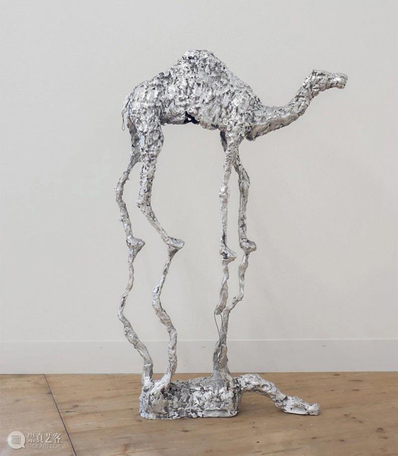 Looking From The Top Of The Acacia (MIRAGE), 2016&