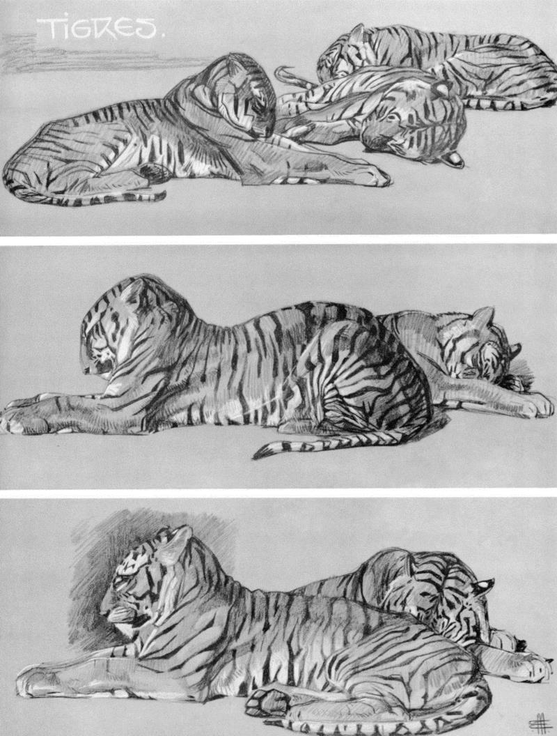 迪士尼原画 | 这才是最棒的动画手稿！,迪士尼,原画,动画,手稿,美术,素描,全称,华特,总部,伯班克