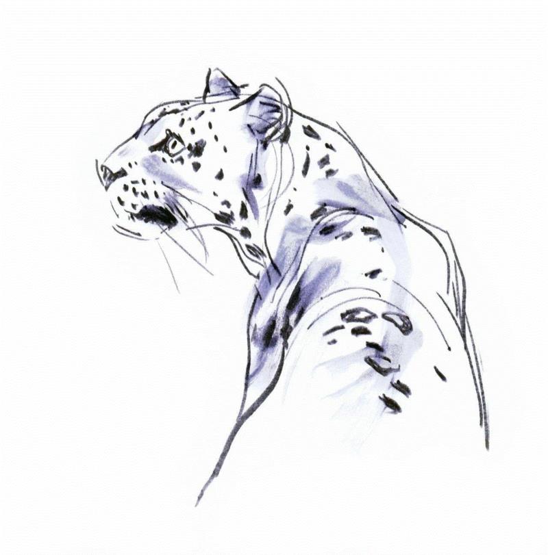 迪士尼原画 | 这才是最棒的动画手稿！,迪士尼,原画,动画,手稿,美术,素描,全称,华特,总部,伯班克