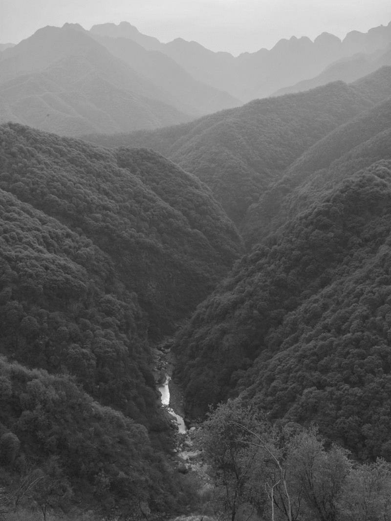 塔可 ，《洞》系列，2018 ,寄语 “十方”｜凯伦·史密斯：图像制造的覆变,十方,凯伦·史密斯,摄影师,三影堂摄影奖,暗房,摄影师们,相机,美学,三影堂,材料