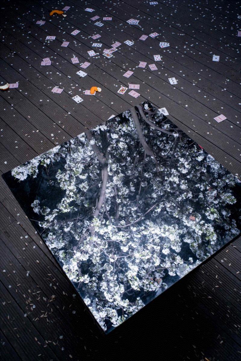 冯立，《一树梨花》，出自《白夜》系列，2018 ,寄语 “十方”｜凯伦·史密斯：图像制造的覆变,十方,凯伦·史密斯,摄影师,三影堂摄影奖,暗房,摄影师们,相机,美学,三影堂,材料