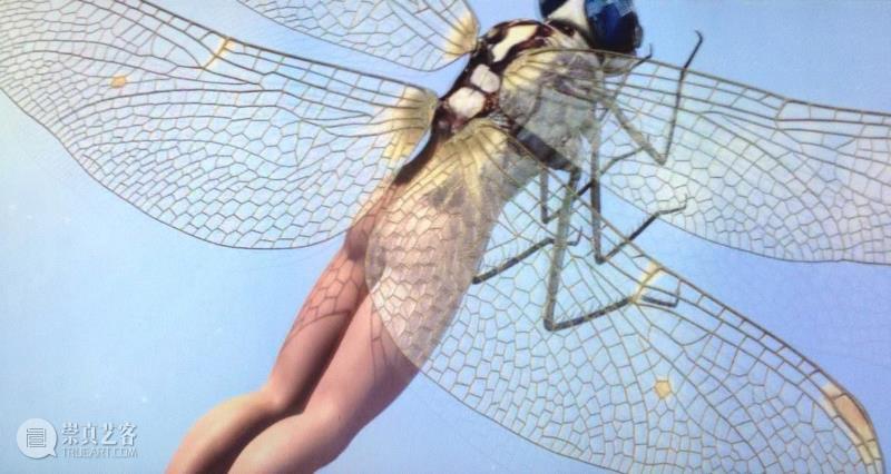 李山 | 解放生命