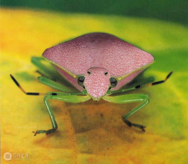 李山 | 阅读系列-重组,李山 | 解放生命