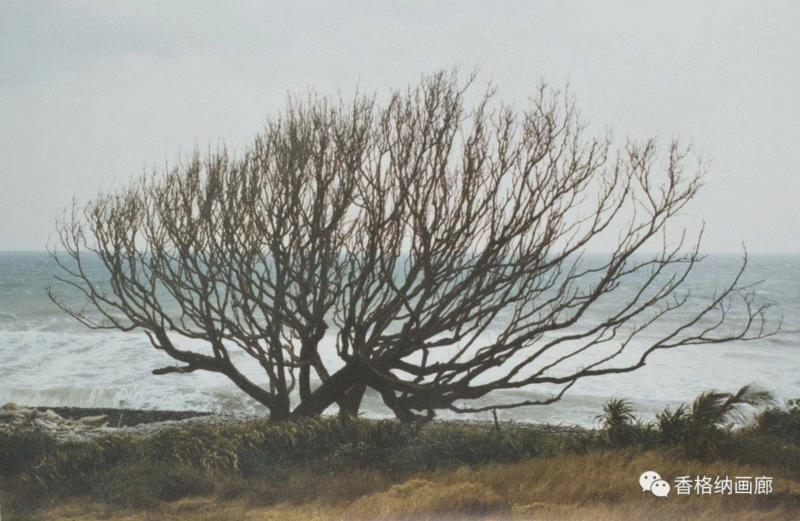 施昀佑获得的关键词是：“专注”、“老公”、“透彻” ｜Keywords for Yunyu Ayo 