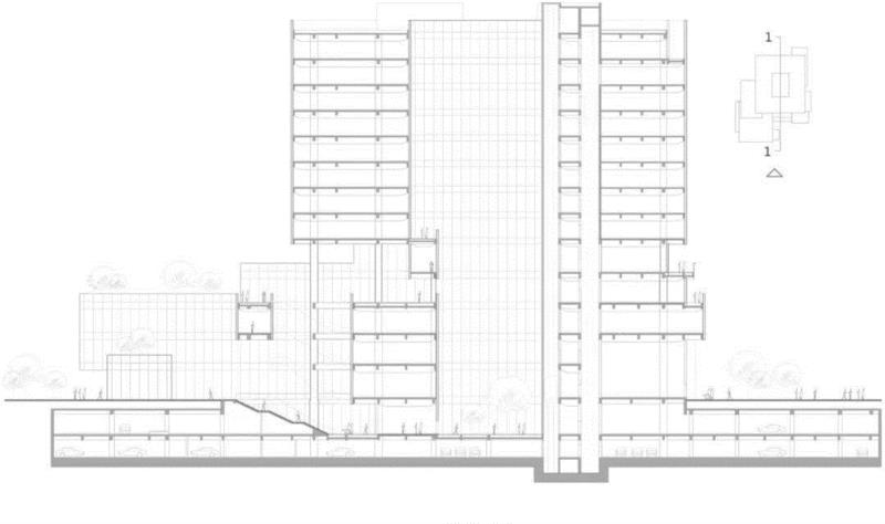 剖面图,粤澳合作中医药科技产业园总部大楼 / Aedas