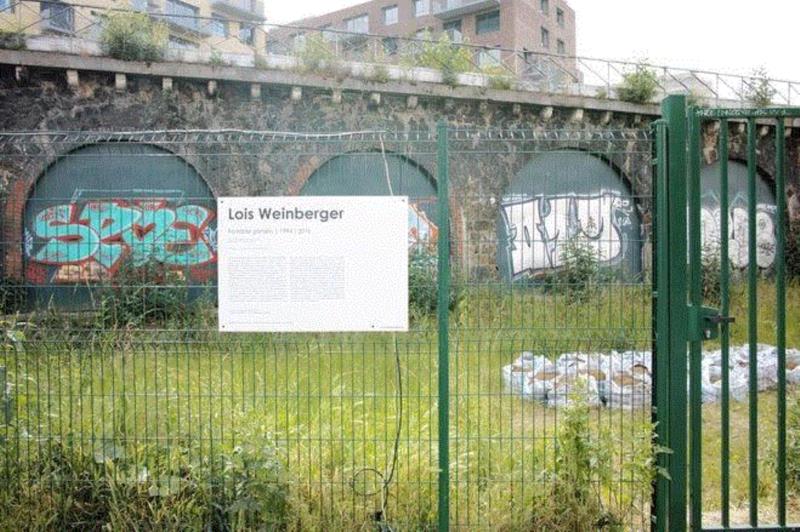《三种生态》:无法控制的疯狂思想 | 路易斯·温伯格(Lois Weinberger),Lois,Weinberger,三种生态,路易斯·温伯格,植物,路易斯,杂草,秩序,当地,野生植物
