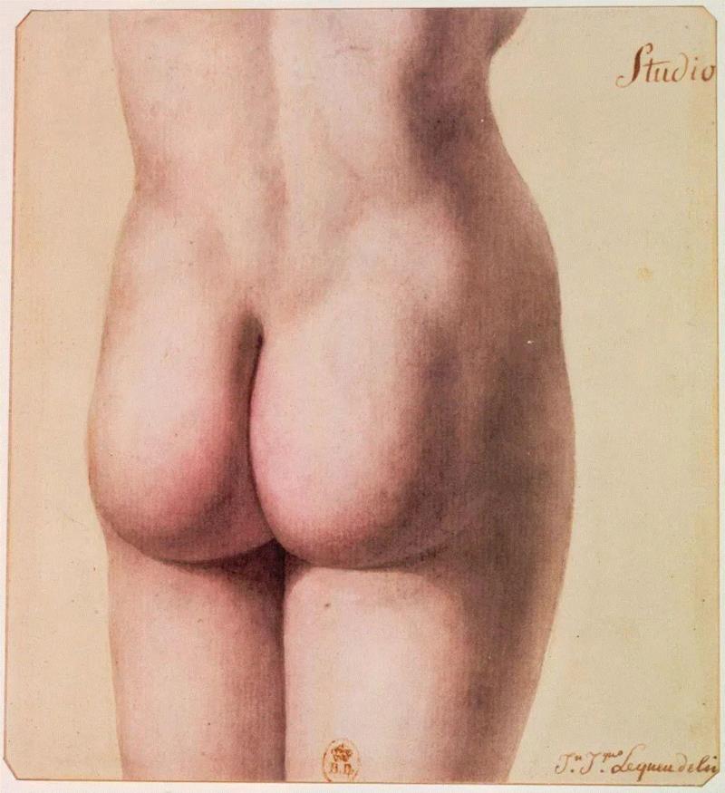 法国建筑师让·雅克·勒克（Jean Jacques Lequeu）1785年绘制的人类臀部。图源：w