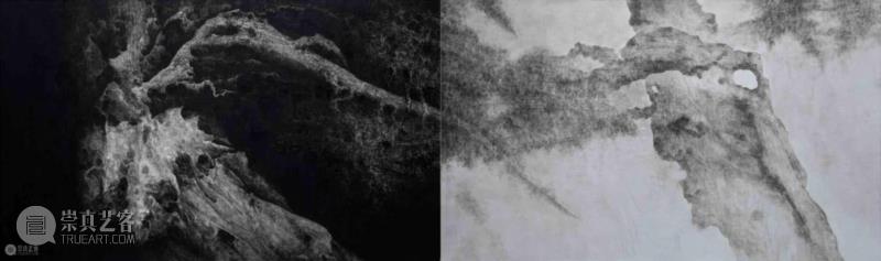 沪申画廊|“雪松·游自然”开幕 展现独特东方气韵,沪申画廊,水墨,雪松,天安当代艺术中心,现代传媒集团