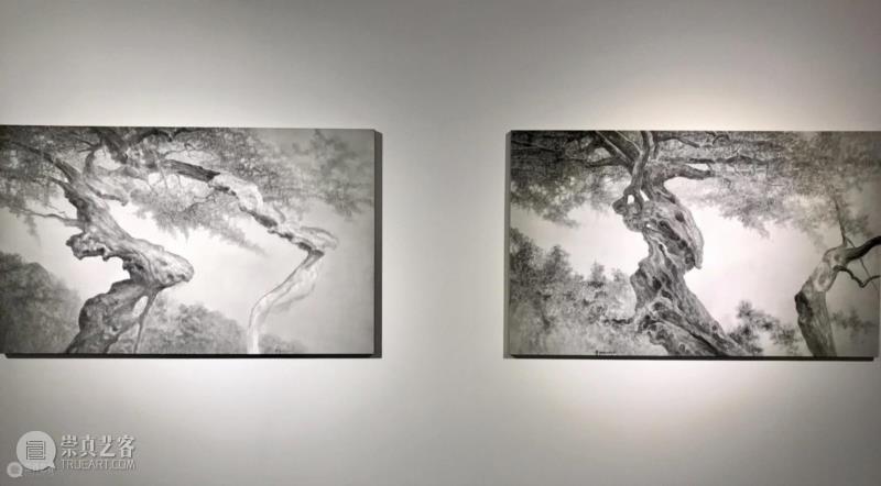 “雪松·游自然”展览现场,沪申画廊|“雪松·游自然”开幕 展现独特东方气韵,沪申画廊,水墨,雪松,天安当代艺术中心,现代传媒集团