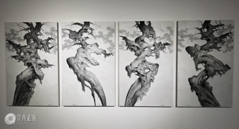 沪申画廊|“雪松·游自然”开幕 展现独特东方气韵,沪申画廊,水墨,雪松,天安当代艺术中心,现代传媒集团
