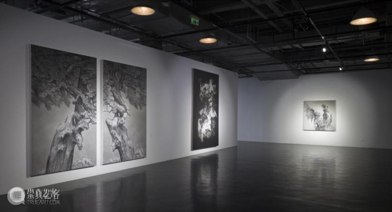 “雪松·游自然”展览现场，摄影：明心,沪申画廊|“雪松·游自然”开幕 展现独特东方气韵,沪申画廊,水墨,雪松,天安当代艺术中心,现代传媒集团