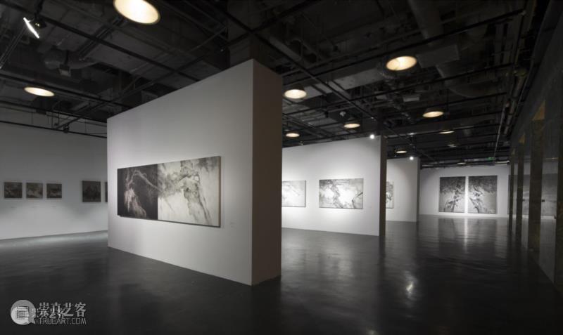 沪申画廊|“雪松·游自然”开幕 展现独特东方气韵,沪申画廊,水墨,雪松,天安当代艺术中心,现代传媒集团