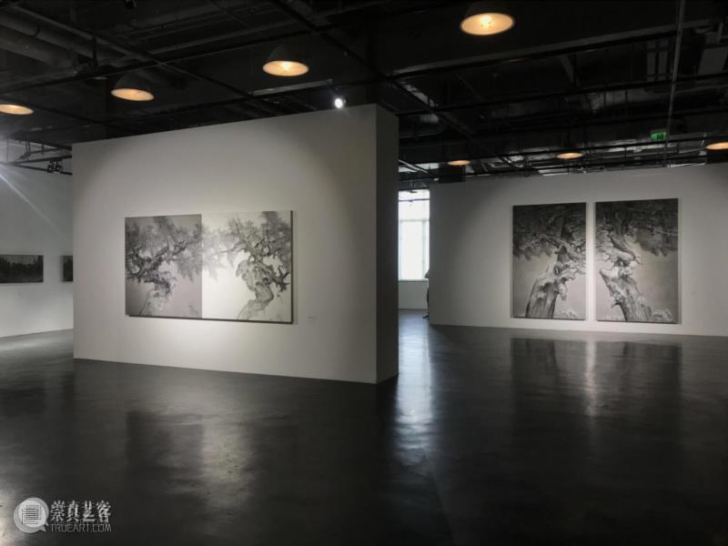 “雪松·游自然”展览现场,沪申画廊|“雪松·游自然”开幕 展现独特东方气韵,沪申画廊,水墨,雪松,天安当代艺术中心,现代传媒集团