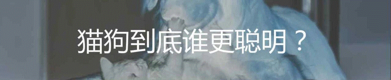 猫为什么要摇尾巴？,尾巴,猫猫,图源,肢体语言,猫咪,空中,耳朵,某物,利维坦,antusen