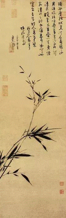 生僻字丨筼,生僻字,丨筼,筼筜,博物馆,读音,皮薄,竹子,陕西,洋县,筼筜谷
