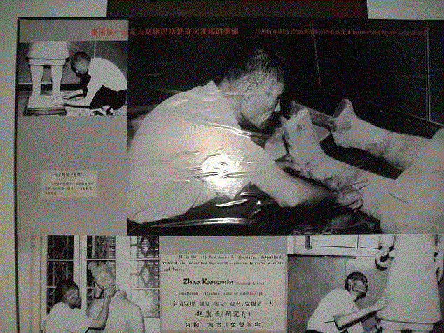 他是兵马俑的“发现”者，但人们对他一无所知，直到他去世,兵马俑,赵康民,第一人,秦兵马俑,武士俑,村民,蔺安稳,杨志发,考古学家,发现者