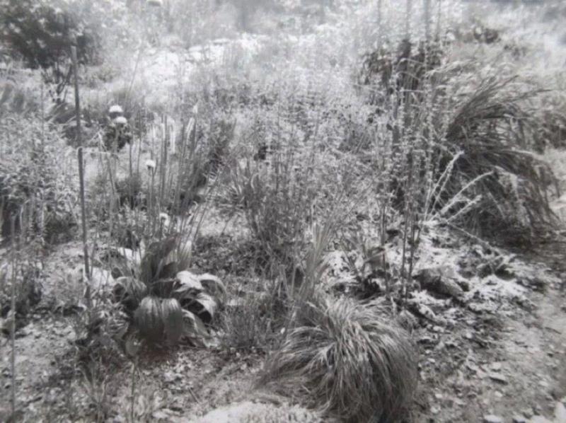 Lois Weinberger, Area Vienna, 1988, Blac