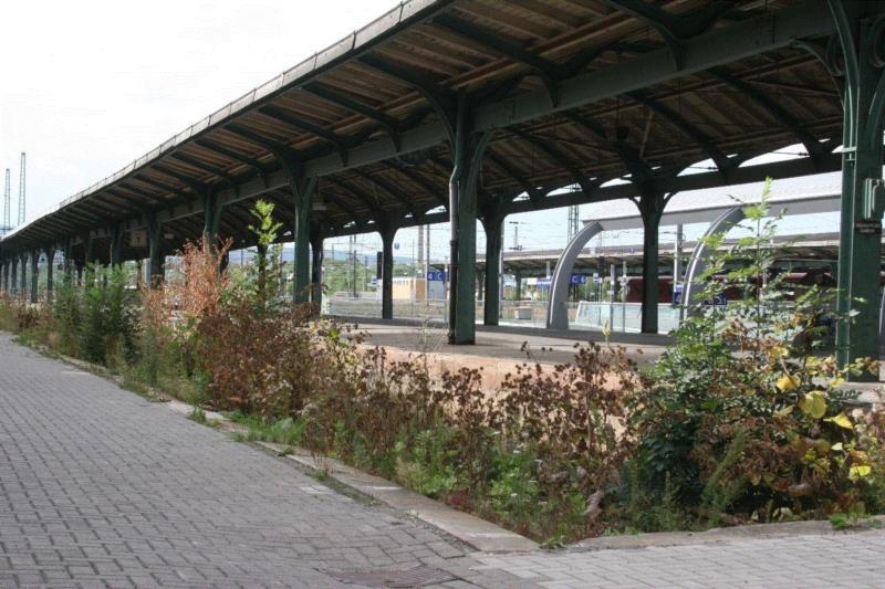 物种 / 属性 / 族群 / 秩序 / 阶级 / 帝国 / 边界 / 生活——路易斯·温伯格 | documenta 10,温伯格,路易斯,边界,物种,族群,秩序,阶级,documenta,植物,Lois