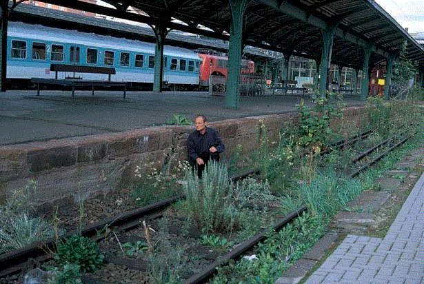 物种 / 属性 / 族群 / 秩序 / 阶级 / 帝国 / 边界 / 生活——路易斯·温伯格 | documenta 10,温伯格,路易斯,边界,物种,族群,秩序,阶级,documenta,植物,Lois