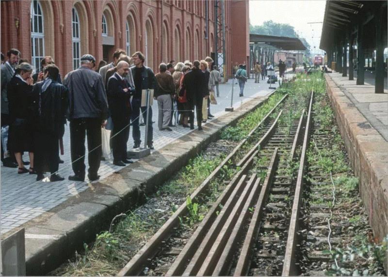 Photo:&nbsp;Bernhard Ruffert,物种 / 属性 / 族群 / 秩序 / 阶级 / 帝国 / 边界 / 生活——路易斯·温伯格 | documenta  10,温伯格,路易斯,边界,物种,族群,秩序,阶级,documenta,植物,Lois