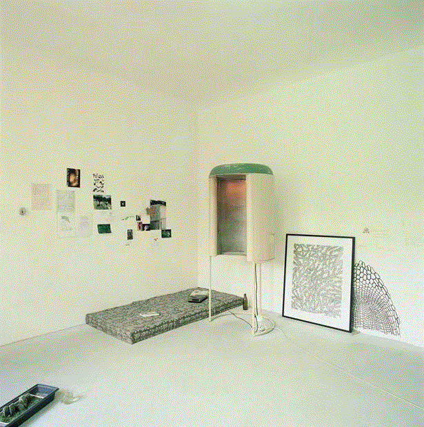 documenta X ,Lois Weinberger作品文献部分,1997,物种 / 属性 / 族群 / 秩序 / 阶级 / 帝国 / 边界 / 生活——路易斯·温伯格 | documenta 10,温伯格,路易斯,边界,物种,族群,秩序,阶级,documenta,植物,Lois