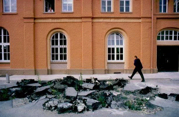 物种 / 属性 / 族群 / 秩序 / 阶级 / 帝国 / 边界 / 生活——路易斯·温伯格 | documenta 10,温伯格,路易斯,边界,物种,族群,秩序,阶级,documenta,植物,Lois