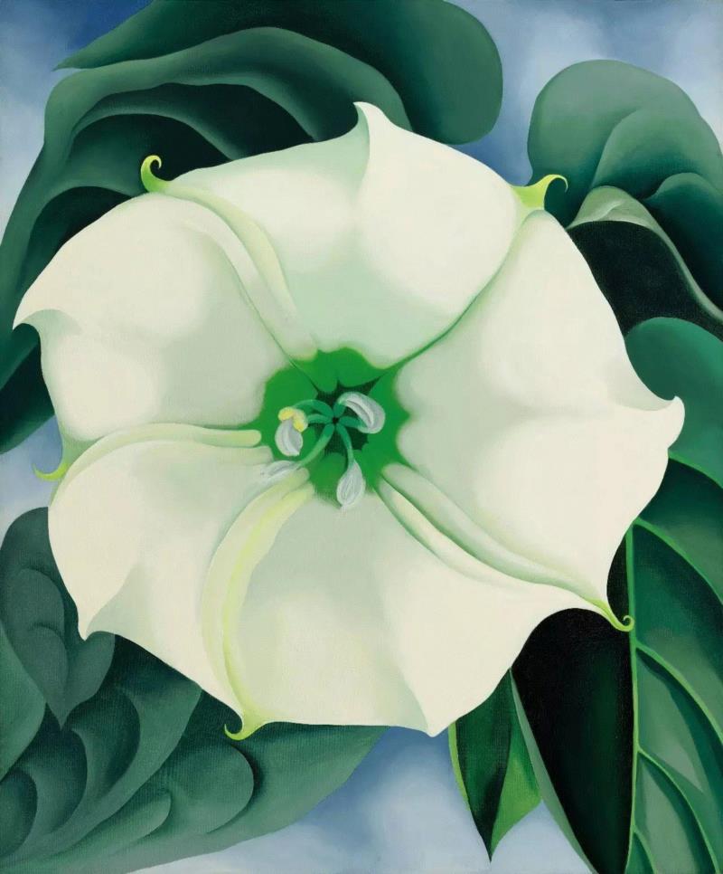 欧姬芙创作于1932年的《曼陀罗/白花一号》,?【收藏先】21部艺术家传记电影，21个有趣的灵魂,电影,传记,弗里达,荷兰,罗丹,蒙克,莫迪里阿尼,卡拉瓦乔,米开朗基罗,油画
