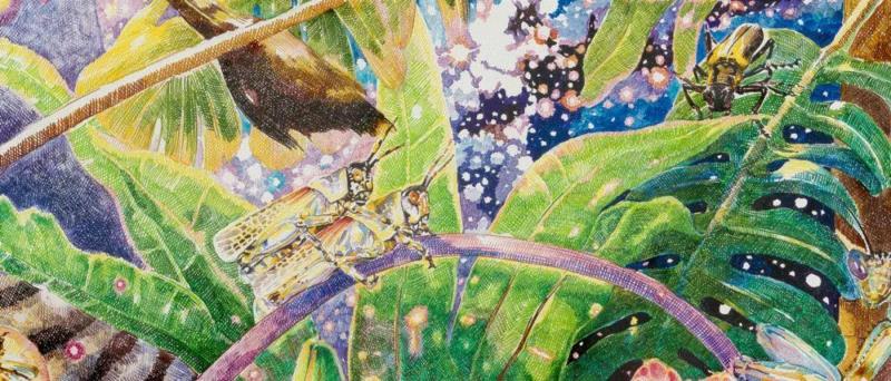 央美才女的钢笔素描画，精细到让人震惊又害怕~,钢笔,央美,才女,素描画,丙烯,铅笔,赵娜,素描,老虎,国度