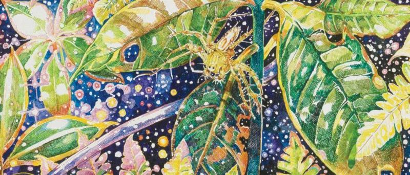 央美才女的钢笔素描画，精细到让人震惊又害怕~,钢笔,央美,才女,素描画,丙烯,铅笔,赵娜,素描,老虎,国度