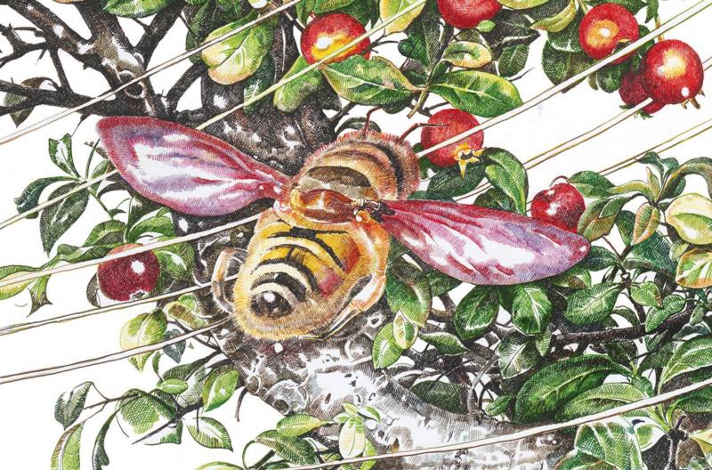 央美才女的钢笔素描画，精细到让人震惊又害怕~,钢笔,央美,才女,素描画,丙烯,铅笔,赵娜,素描,老虎,国度