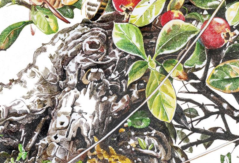 央美才女的钢笔素描画，精细到让人震惊又害怕~,钢笔,央美,才女,素描画,丙烯,铅笔,赵娜,素描,老虎,国度