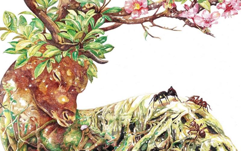 央美才女的钢笔素描画，精细到让人震惊又害怕~,钢笔,央美,才女,素描画,丙烯,铅笔,赵娜,素描,老虎,国度