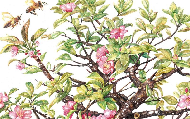 央美才女的钢笔素描画，精细到让人震惊又害怕~,钢笔,央美,才女,素描画,丙烯,铅笔,赵娜,素描,老虎,国度