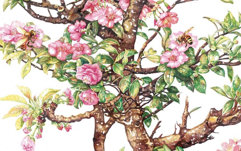 央美才女的钢笔素描画，精细到让人震惊又害怕~,钢笔,央美,才女,素描画,丙烯,铅笔,赵娜,素描,老虎,国度