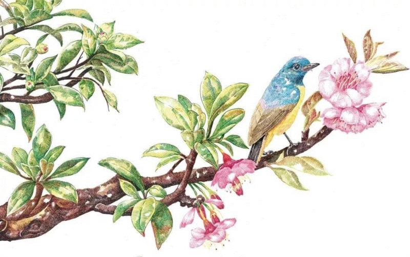 央美才女的钢笔素描画，精细到让人震惊又害怕~,钢笔,央美,才女,素描画,丙烯,铅笔,赵娜,素描,老虎,国度